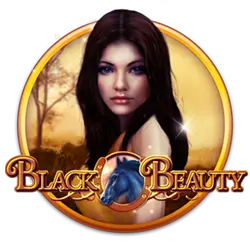 ph2bet casino login how to bet on horses australia