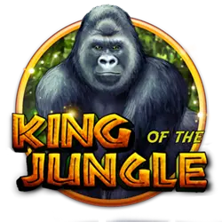 cc6 online casino app login how to bet on nfl games online legally